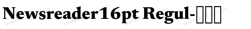 Newsreader16pt Regul字体转换 Newsreader16pt Regul字体转换